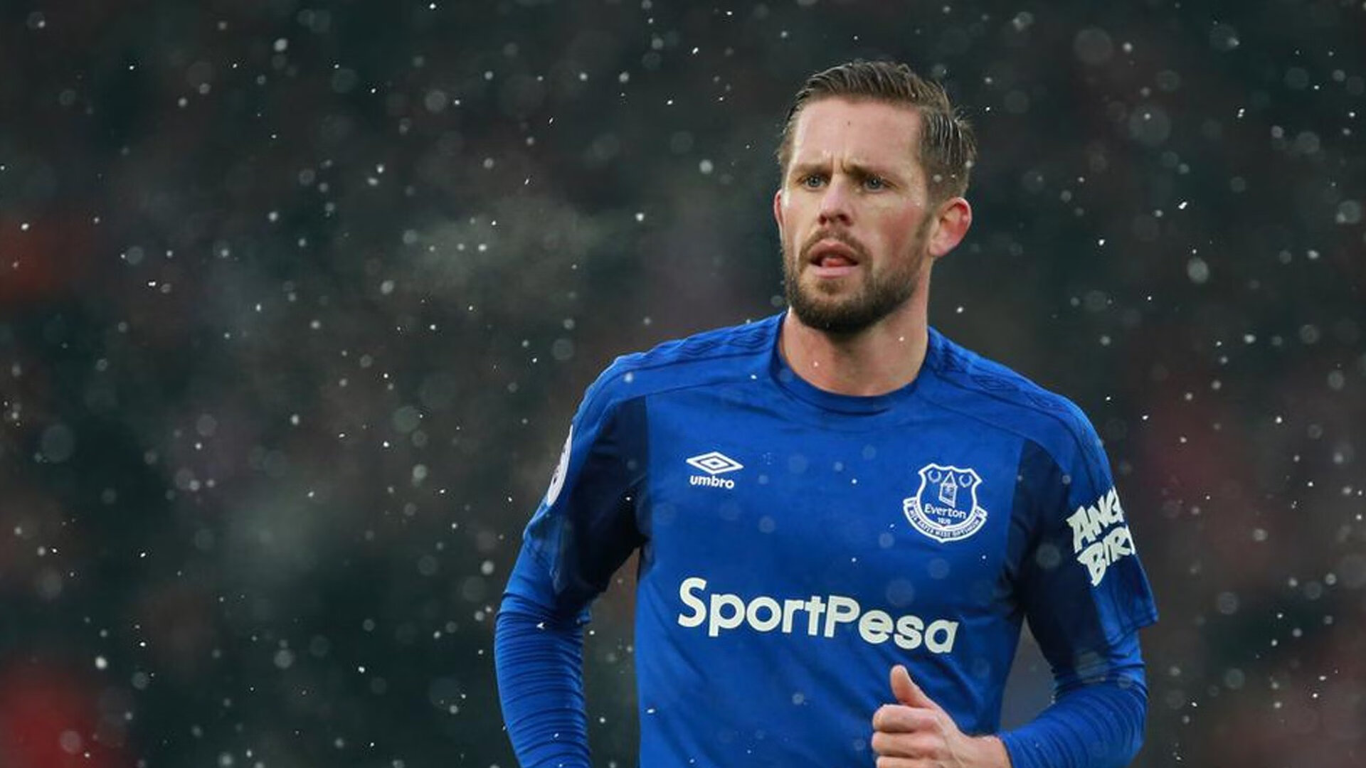 国际裁判培训全面数字化，执法水平再创新高，国际裁判协会